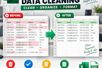 data cleaning and excel formatting