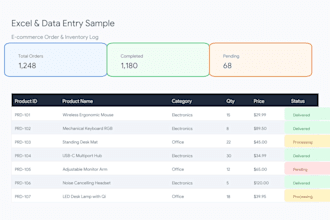 provide accurate data entry and excel support
