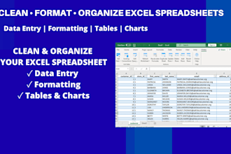 clean, format and organize excel spreadsheets and dashboards