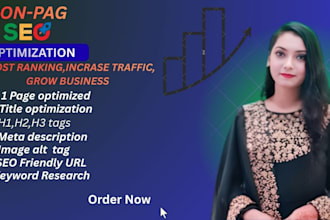do professional on page SEO and action plan