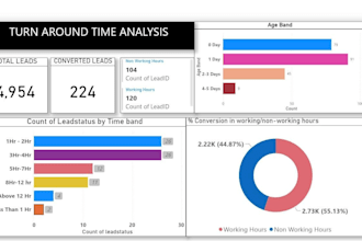 build executive power bi dashboards and data analytics reports