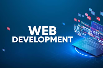 do professional website promotion and online marketing