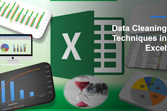 do excel data cleaning, data analysis and data visualization