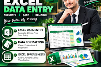 do excel, goggle sheets, data entry, and data formatting