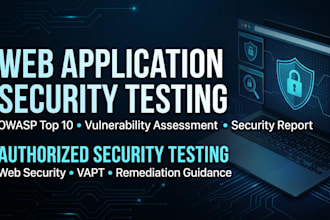 perform web application security testing and vulnerability assessment