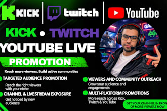 provide youtube channel support, livestream promotion and organic growth