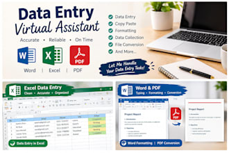 do accurate data entry as your virtual assistant