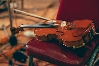 perform great solo violin for jazz, classical, bluegrass folk, and country music