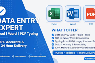 do a perfect data entry, word, PDF  typing  in 24 hours