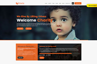 build non profit, 501c3 charity website, ngo website with donation system