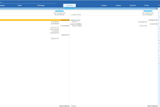 do professional accounting and company setup in tally prime