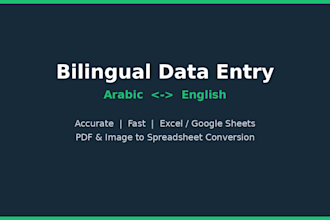 do professional bilingual arabic english data entry