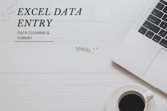 do expert excel data entry and copy paste work