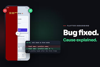 fix your flutter bugs and crashes in 24 hours