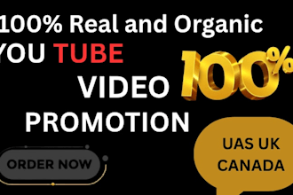 promote USA youtube music video to gain 1 million views organic million views