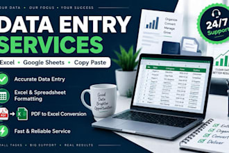 do aacurate data entry,exel and copy paste tasks