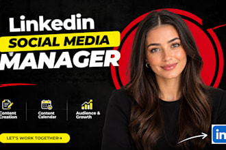 be expert linkedin marketing manager and content creator