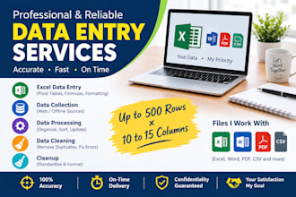 do accurate and fast data entry and data processing
