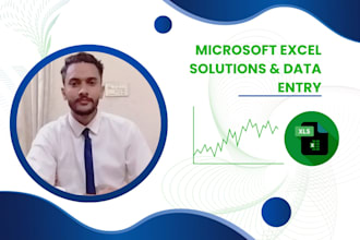 professionally solve microsoft excel tasks and projects