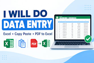 do fast and accurate data entry in excel