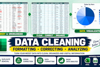 do data correction, formatting, structuring for a clear insight of data