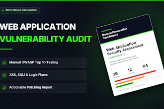 conduct a manual web application vulnerability assessment