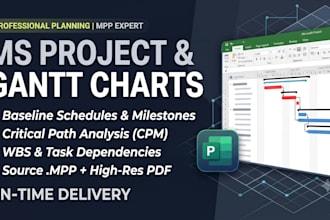 create a professional microsoft project and office schedule