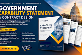 design a professional government capability statement, government contract
