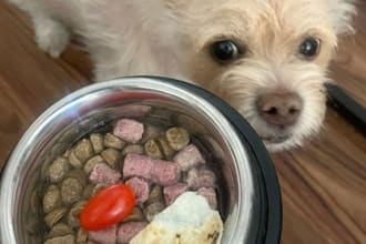 formulate pet food, dog food and cat food recipes
