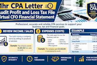 1hr CPA letter, audit profit and loss tax file, virtual cfo financial statement