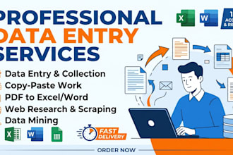 do professional data entry typing and translation work