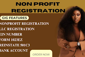 register your USA llc, get ein and assist with business bank account