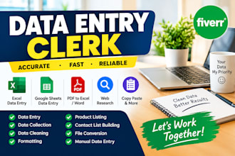 do your works of virtual data entry clerk