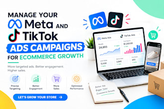 set up and manage facebook ads tik tok ad campaigns, tiktok and meta ads manager