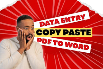 professional excel data entry copy paste and PDF conversion