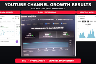 be your youtube channel manager for SEO and video optimization