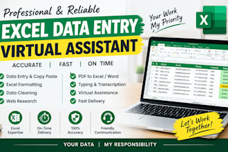 be your expert excel data entry and formatting virtual assistant
