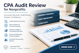 provide cpa pre audit reconciliation for 501c3 nonprofits