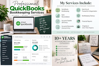 quickbooks bookkeeping, cleanup, reconciliation and data