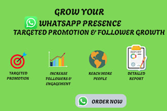 grow your whatsapp channel with targeted followers and promotion