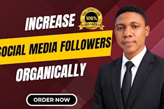 grow your instagram followers and engagement organically