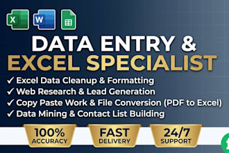 do professional data entry, excel data cleanup, and web research