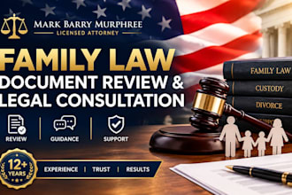 provide professional family law document review and legal consultation