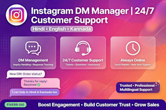 be your instagram dm manager and customer support in hindi english kannada