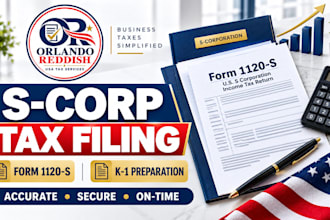 file your  s corp 1120s tax return, k1 shareholder, and us business tax filing