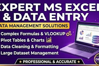do professinal CV ,fast data entry in word and excel