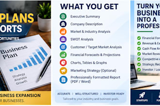 create a professional business plan and project report