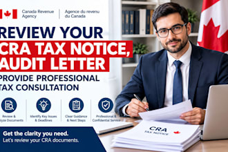 review your cra tax notice, audit letter, provide professional tax consultation