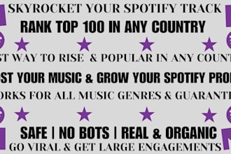 chart your spotify music to top 100 spotify chart and organic spotify growth
