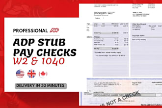 bank statement ,stubs, pay roll, salary slip as you need fast